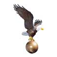 Image of Flagpole Eagles